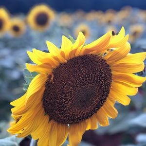 Meet your Posher, Maegan